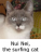 neilemon
