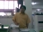 dennissoria
