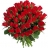chaitanya99